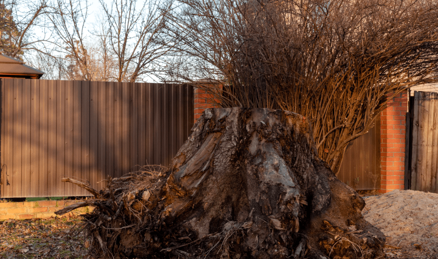 MR Tree Services